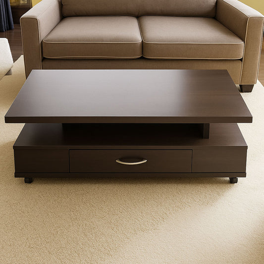 Modern Dark Wood Coffee Table with Storage