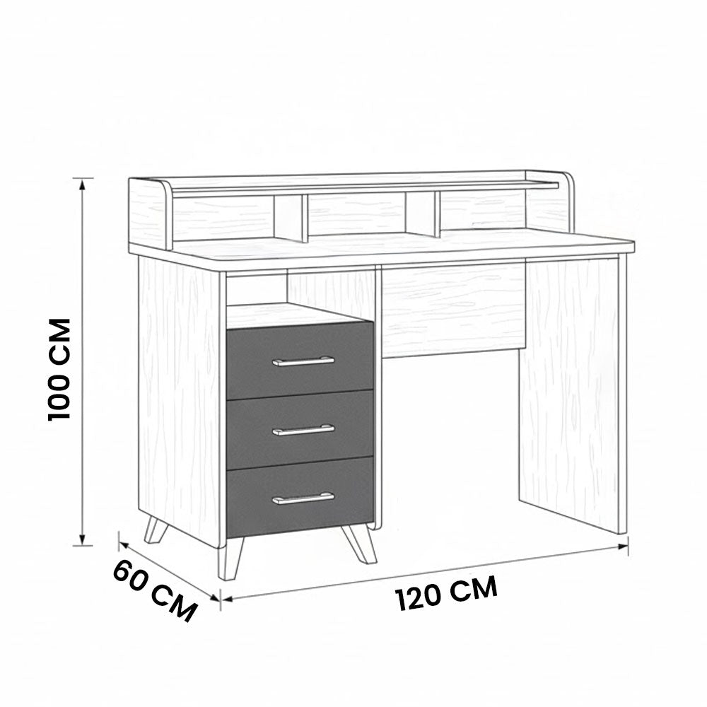 Desk 120 x 60 x 100 cm + Attached Drawer Unit - White and wooden-  AZ1177